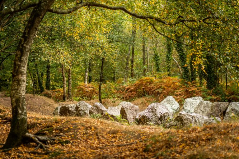 gite foret de broceliande